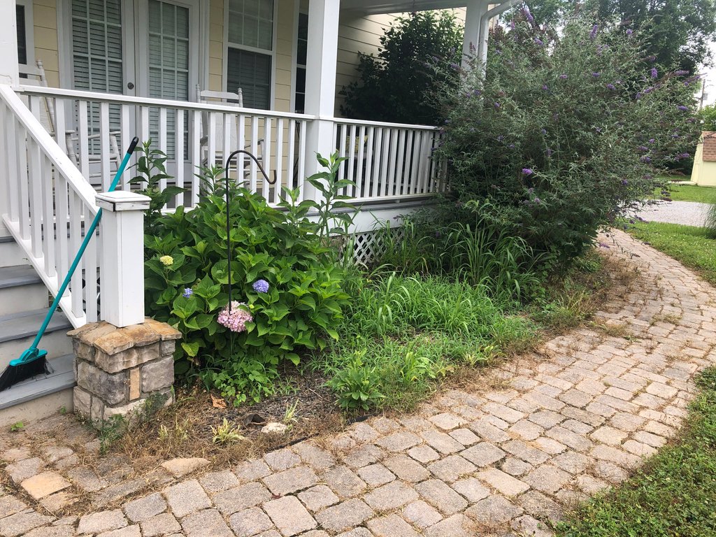 BIG thanks to our friends <a href="/connectchurchtn/">Connect Church</a> for spending their Saturday Serve Day with us! Their hard-working team made our outdoor spaces look so beautiful! 😍
Swipe for some before-and-afters 👉🏼

#SupportSurvivors #EndSexTrafficking #HopeSees #HopeHeals