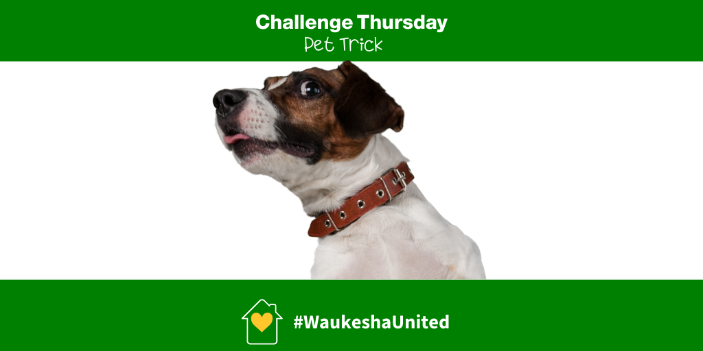 #WaukeshaUnited Challenge Thursday - Post a video or photo of your pet doing your favorite pet trick for a chance to win a $10 gift card courtesy of The Steaming Cup.  Random drawing on Wednesday, July 29 from all relevant entries.