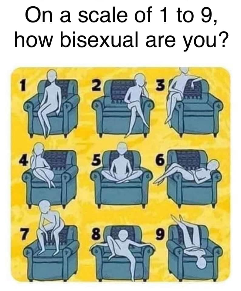 Image présentant neuf façons de s'asseoir dans un fauteuil. Une légende indique « Sur une échelle de 1 à 9, combien êtes vous bisexuel·le ? ». 
La position 1 est quelqu'un assis normalement.
La position 2 est quelqu'un accoudé sur un côté du fauteuil, les jambes croisées
La position 3 montre quelqu'un assis sur l'accoudoir gauche
La position 4 montre quelqu'un assis contre l'accoudoir gauche, les jambes repliées sous lui
La position 5 montre quelqu'un assis en tailleur
La position 6 montre quelqu'un allongé de part et d'autre du fauteuil, la tête sur l'accoudoir droit
La position 7 montre quelqu'un assis sur le dossier du fauteuil, les pieds sur l'assise.
La position 8 montre quelqu'un affalé au fond du fauteuil, un pied sur l'assise, un pied par terre
La position 9 montre quelqu'un assis la tête à l'envers, les jambes contre le dossier. 