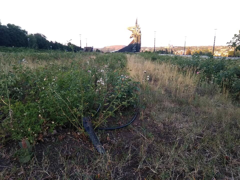 За шесть лет оккупации парк возле «Донбасс арены» зарос сорняками и чертополохом, - ФОТО

Некогда ухоженная территория в центре Донецка с зелеными, аккуратными газонами заросла чертополохом и сорняками в человеческий рост #ДНР #Донецк #ДонбассАрена #ландшафтныйпарк