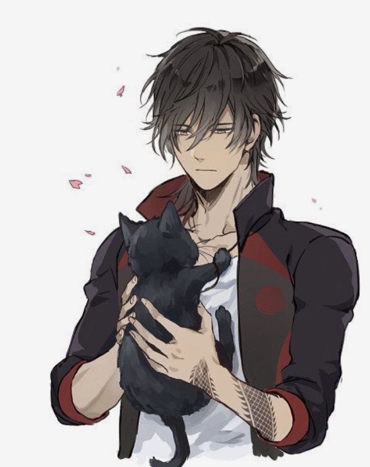FilsduRoiDemon's tweet photo. @Mia_Eld a un chat maintenant.. Je crois que j'aime le chat.. Pourtant c'est mon rival le plus dangereux.. https://t.co/olB4XgiTqP