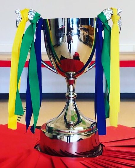 CRA_HouseChamp's tweet photo. 🚨HOUSE CHAMPIONS REVEAL🚨

Follow the link to take you to the House Champions Reveal video https://t.co/KwTC5JpYWY @Charles_Read_ 

Good Luck @CRA_Aqua @CRA_Terra @CRA_Caeli ... A fantastic effort from you all 💙💚💛 https://t.co/nRhXafTmQK