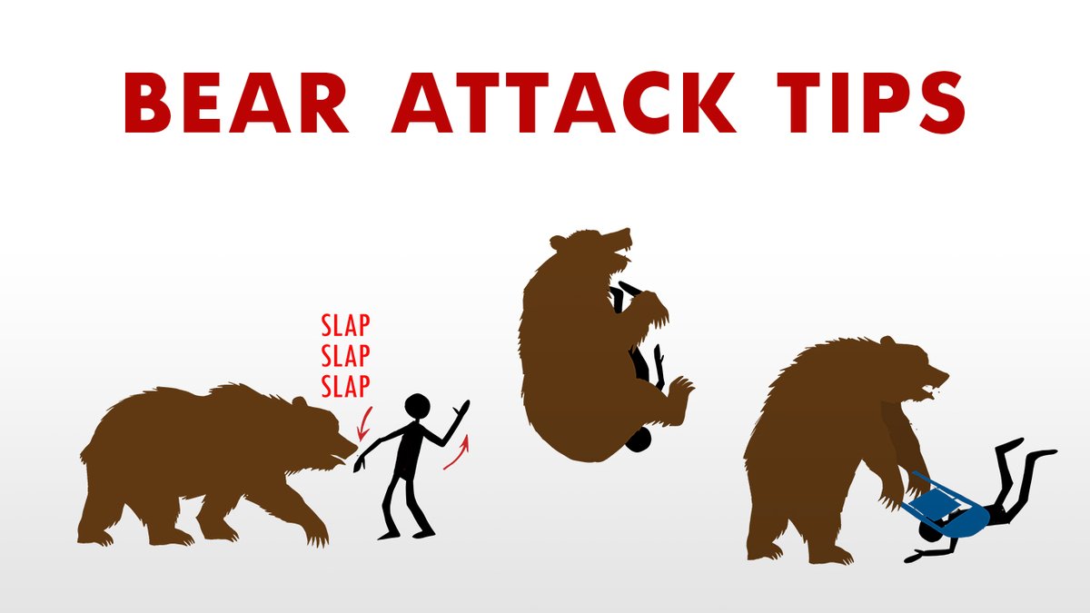 MichaelDavisPIO's tweet photo. #FireGroundUpdate: It is Wildland Fire Season in the USA once again. So, I thought it might be helpful to share my Bear Encounter Tips for Wildland Firefighters. https://t.co/0Cjyj1w01B