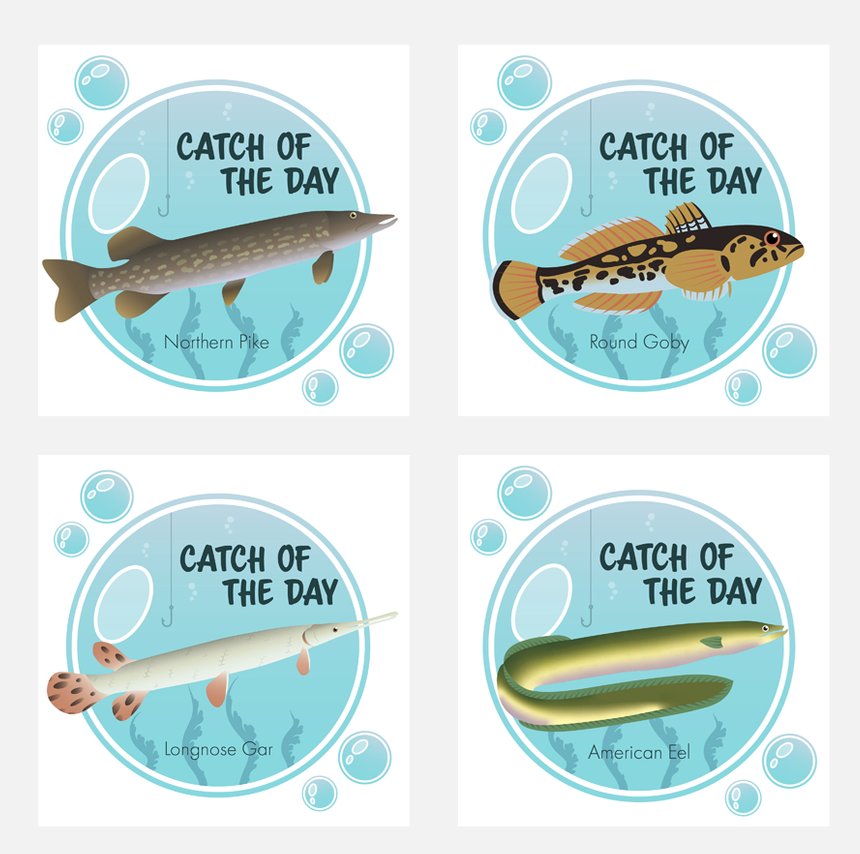 CreativeDayfor1's tweet photo. No matter the challenge, the design students taking part in Creative Day for Social Good can find a solution. When @HamiltonHarbour needed help explaining all the different fish worth protecting, they stepped up! #MotivationalMonday #catchoftheday #fish #DesignThinking https://t.co/phILpFEYHH