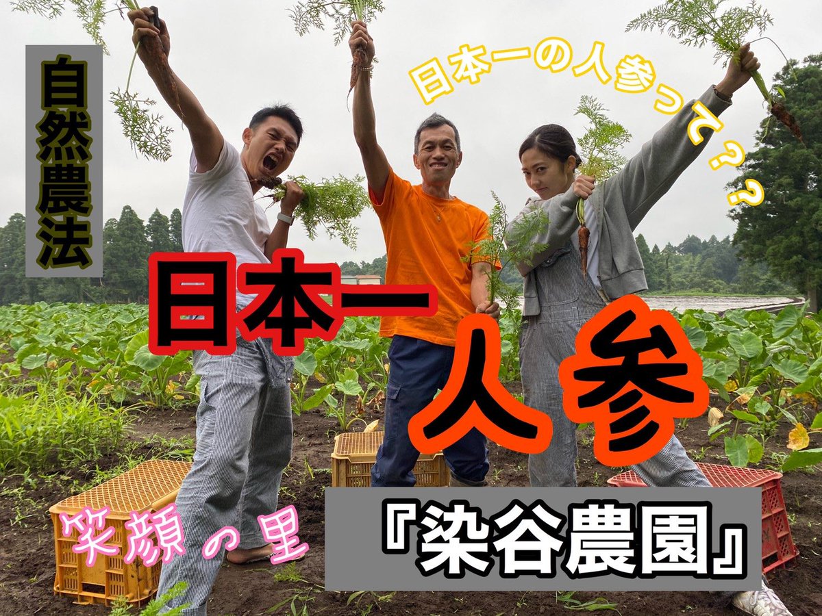 nogyozensho's tweet photo. 【動画紹介】
#染谷農園 で #ニンジン を収穫させていただきました！
#キャロットマン こと染谷さんが日本一のニンジンを作るに至った経緯も合わせ、ご覧ください！
#八百屋 #旬世 #世田谷
https://t.co/UrxNxYMXis https://t.co/C7JWhkMf9b