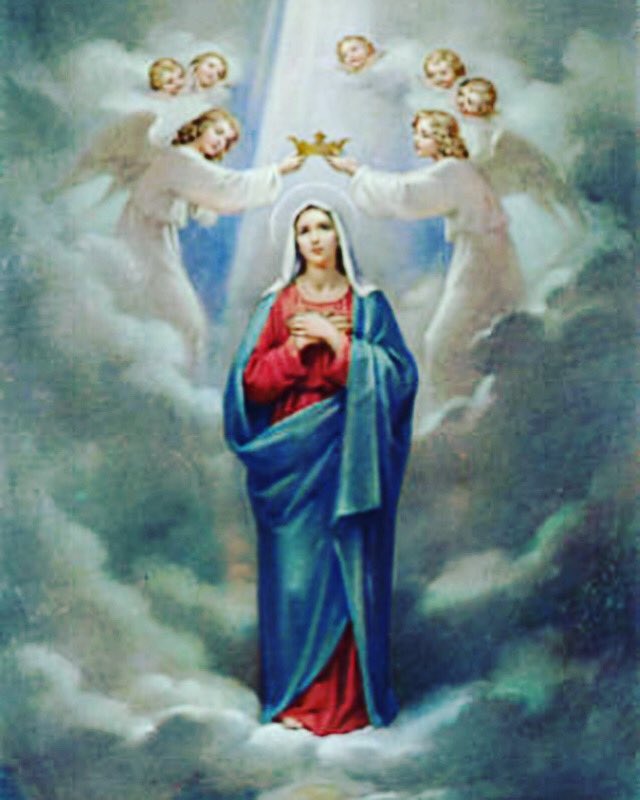 LCMassRequest's tweet image. Coming in August is our Novena to Mary Queen of Heaven! Let us prepare our hearts to bring our intentions to the Lord through His Mother, the New Eve of Jesus’ redemptive work. May her perfect love of her son bring us closer to Him. Join us beginning August 14!