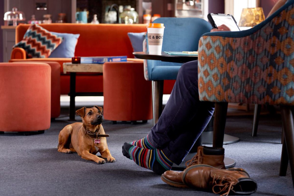 The new Bike and Boot hotel in Scarborough opens its doors to guests today!  Seven have worked with <a href="/bikeandboot/">Bike & Boot</a>
to create a 65 bed ‘lifestyle hotel for the 21st century’. Go to bikeandboot.com for further details. <a href="/Yorkshire_Life/">Yorkshire Life</a>  <a href="/Telegraph/">The Telegraph</a> <a href="/Dogs_Today/">Dogs Today</a> <a href="/cyclingweekly/">Cycling Weekly</a>