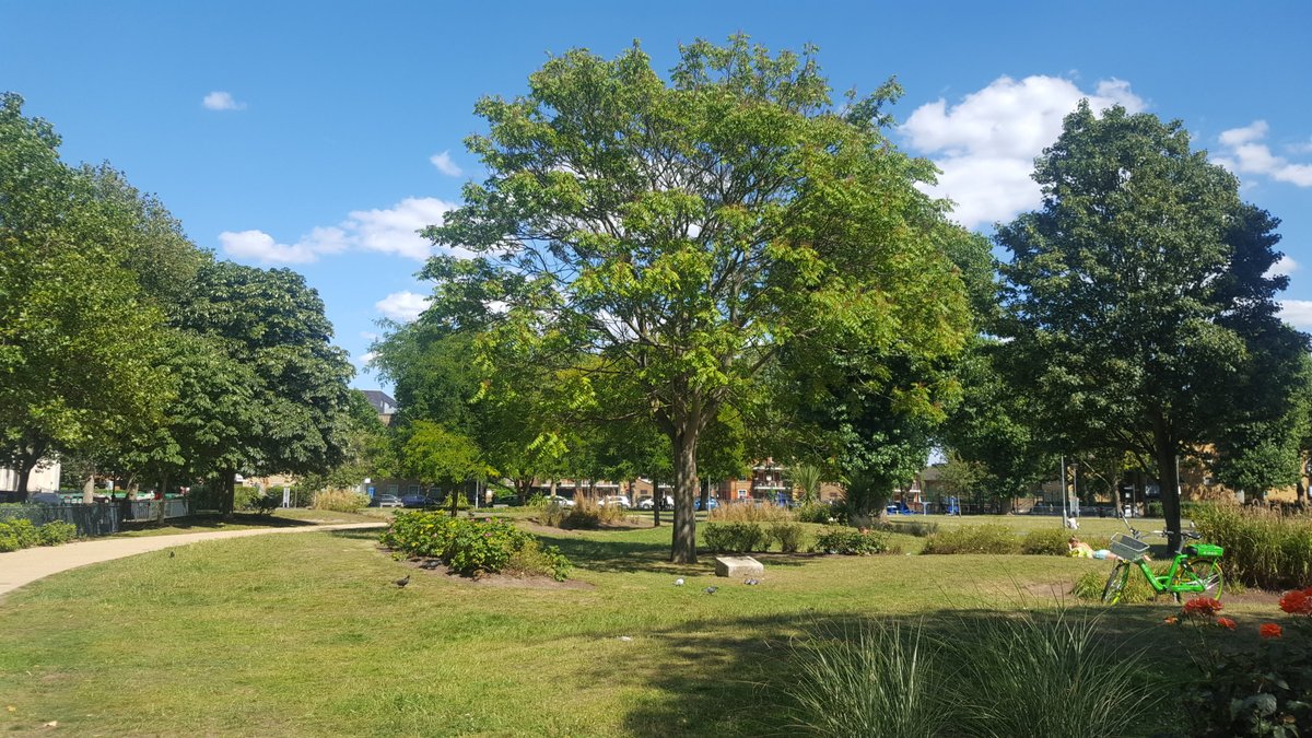 BermondseyTrees's tweet photo. Happy Birthday Ada Salter, our hero and inspiration 20/07/1866 - 04/12/1942. Tree of Heaven in Spa Gdns, Bermondsey planted in her memory. The inscription reads, "They who plant trees love others besides themselves" https://t.co/2xGyNvHADc