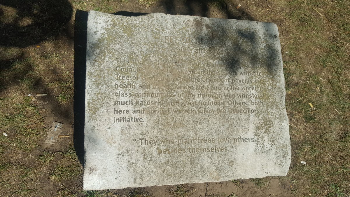 BermondseyTrees's tweet photo. Happy Birthday Ada Salter, our hero and inspiration 20/07/1866 - 04/12/1942. Tree of Heaven in Spa Gdns, Bermondsey planted in her memory. The inscription reads, "They who plant trees love others besides themselves" https://t.co/2xGyNvHADc