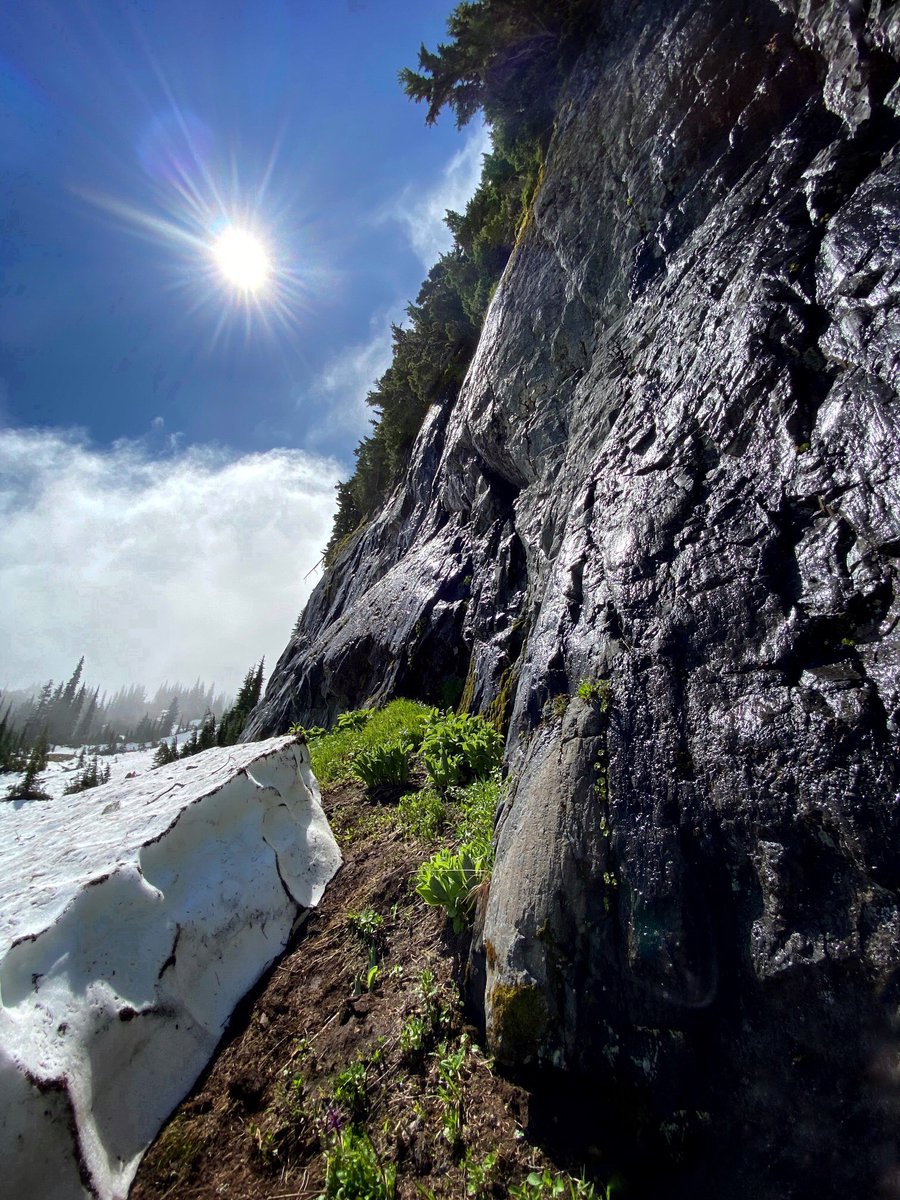 DonClotfelter's tweet photo. Between and rock and a frozen zone ππΏβοΈ
@ShannonODKOMO @ErinMayovsky @CascadeDistrict @ThePhotoHour @WeLoveWeather @NatlParkService #mountrainier #nachesloop #wawx #pnw https://t.co/8YccHL3IAU