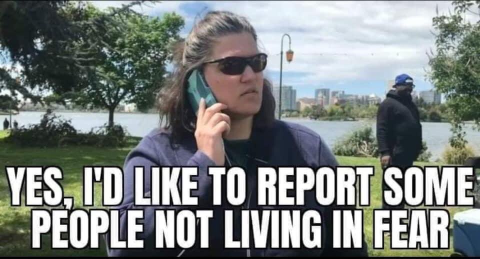 at the risk of being accused of "conspiracy" and facing legal reprisals. In summary: for biopower, this Covid-19 crisis must cut history in two and bring humanity into a new era