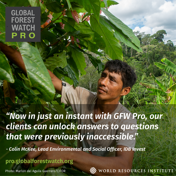 globalforests's tweet photo. For the past year #GFWPro has been continually improving its systems to become the go-to tool for companies looking to reduce #deforestation in their #supplychains. https://t.co/swcdvHv3oq https://t.co/KYxLIG5fZs