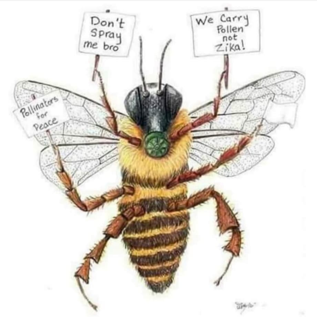 An Óige - Irish Youth Hostel Association tweet media