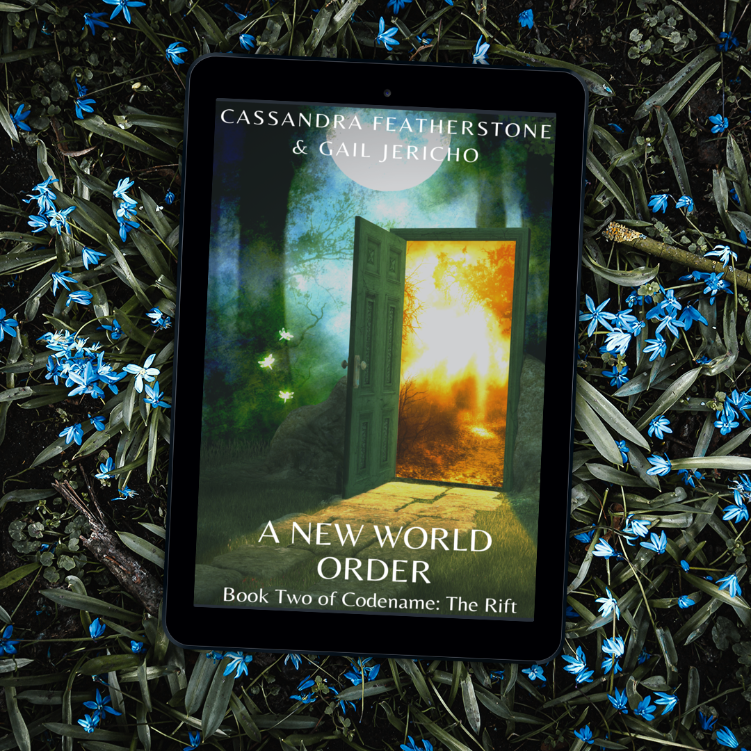 CFeathrstone's tweet photo. Coming soon!
Volume Two of A New World Order.
What happens after the BIG DECISION? What will change in Delilah's life if it is successful?
Visit https://t.co/eb9G5KH78z for links.
#writingcommunity #readingcommunity #KindleUnlimited #IARTG #LGTBQ #pridewrite #urbanfantasy https://t.co/InRST32U4V