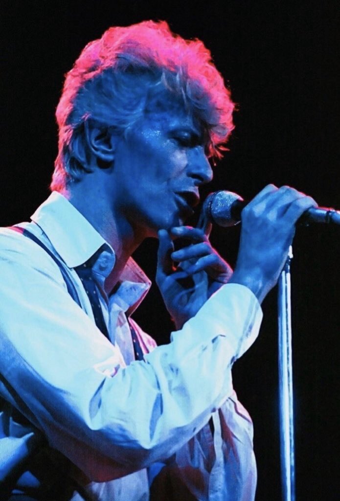 saga on Twitter: "david bowie shining in the bisexual colours is