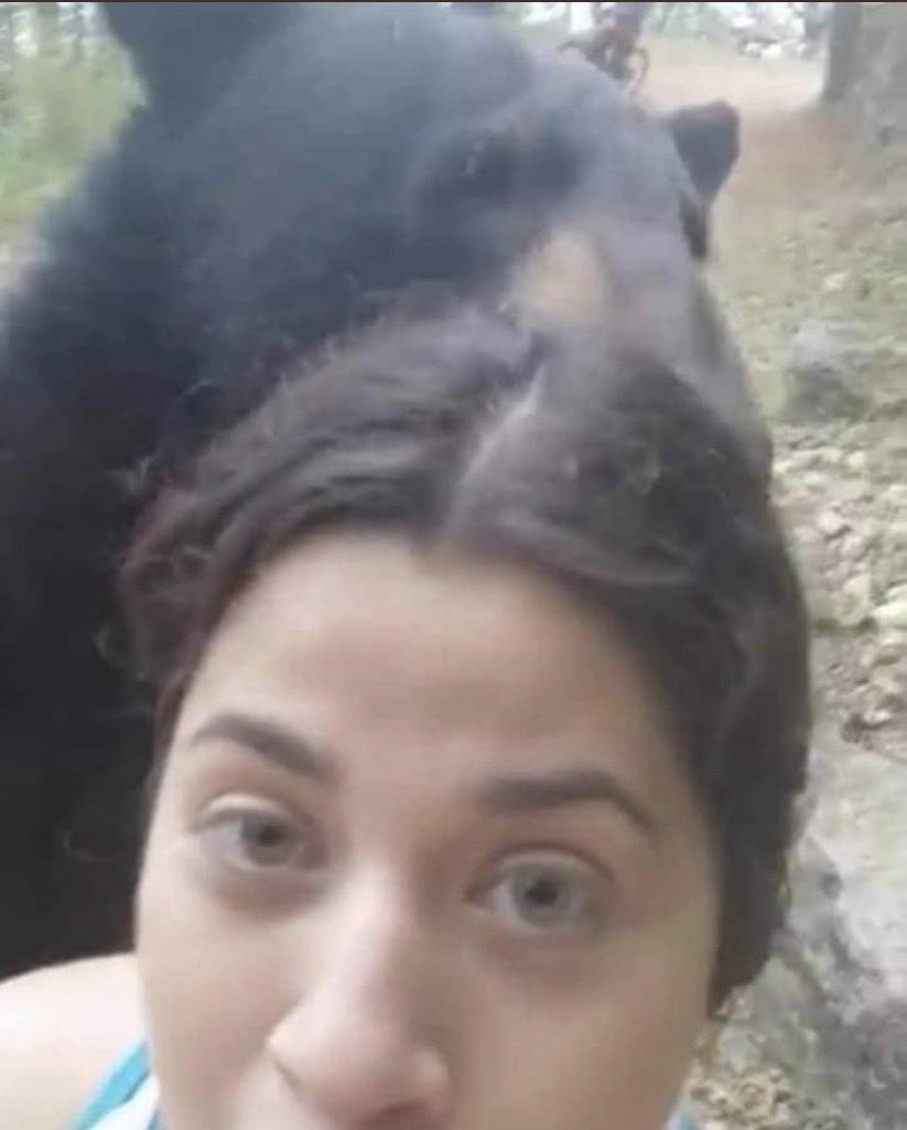 javo_chavez's tweet photo. #BearChallenge Van mis progres... https://t.co/SqfB8utJQY