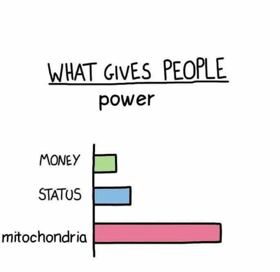 bio_geeks's tweet photo. Follow @bio_geeks for more fun &amp; creative information posts! 
.
.
#biogeeks #biology #biotechnology #biotech #lifesciences #science #sciencefiction #sciencememes #biologymemes #research #researcher #scientist #dna #power #money #status #mitochondria #powerhouse #memes https://t.co/D2Q8Y8MQ8F
