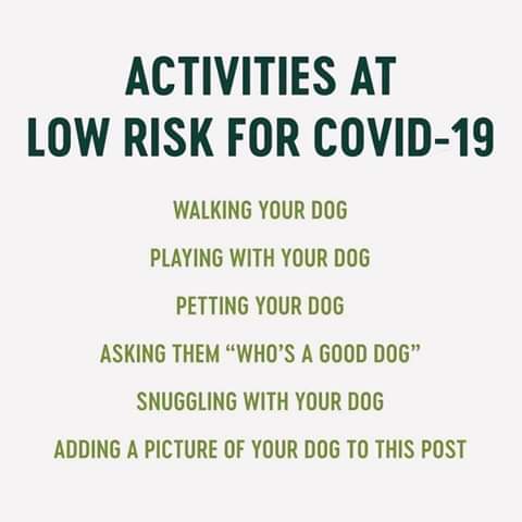 Looking for low risk activities to stay busy in spite of #Covid19?

Quality time with your #dog is a pretty safe option. 😉

#Dogs #Pets #BeSafe #StaySafe