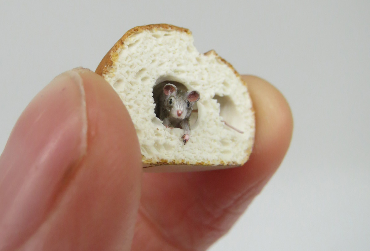 curiouszed's tweet photo. Miniature #sculptures of biologically accurate animals by Fanni Sandor https://t.co/ps2J4rLpuV https://t.co/3U8VurUs0a