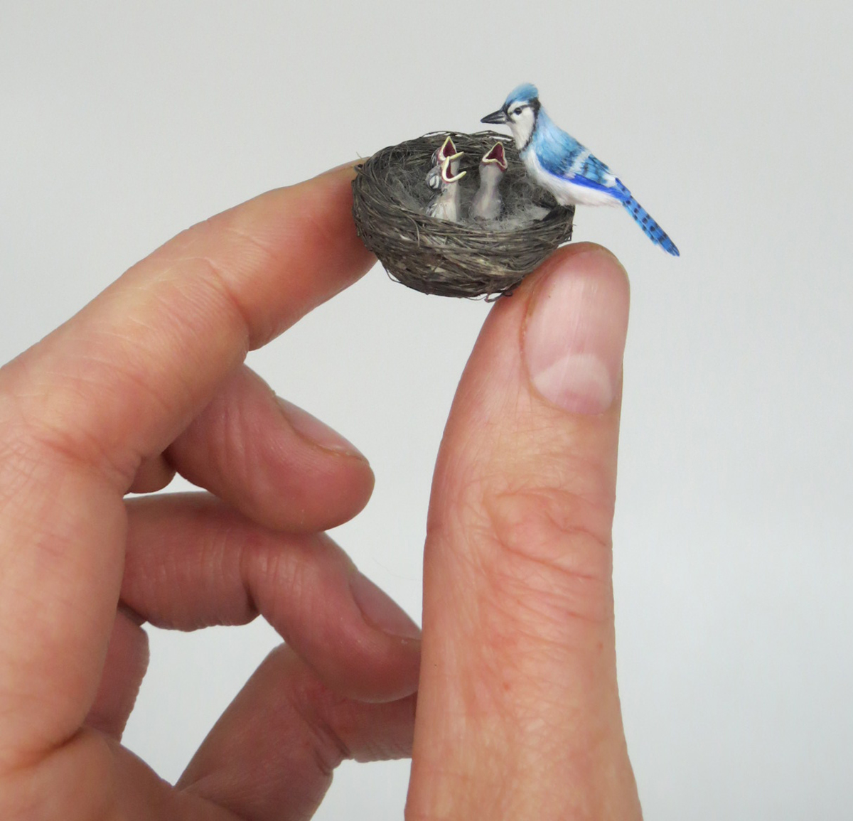 curiouszed's tweet photo. Miniature #sculptures of biologically accurate animals by Fanni Sandor https://t.co/ps2J4rLpuV https://t.co/3U8VurUs0a