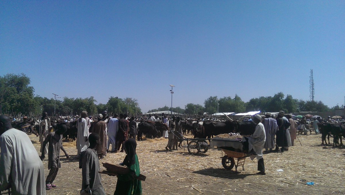 Apparently there was attack the previous day and they couldn't move. At my rough count we are about a thousand on the road. We couldn't move, we had to sleep at Dikwa as there no single vehicle coming from Ngala. The soldiers in our convoy and CJTF refused to continue the trip.