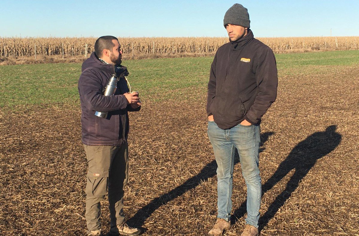 agromil_ltda's tweet photo. Ing. Agr. Santiago Barolin con el equipo de @RizobacterU y Agromil recorriendo demo #Cebada con #Microstar 30 kgs. 📍Establecimiento Don Luis, R21 Km203.
#MicrostarCebada #DemoCebada #DemostrativoMicrostar https://t.co/JX6cnrPENK