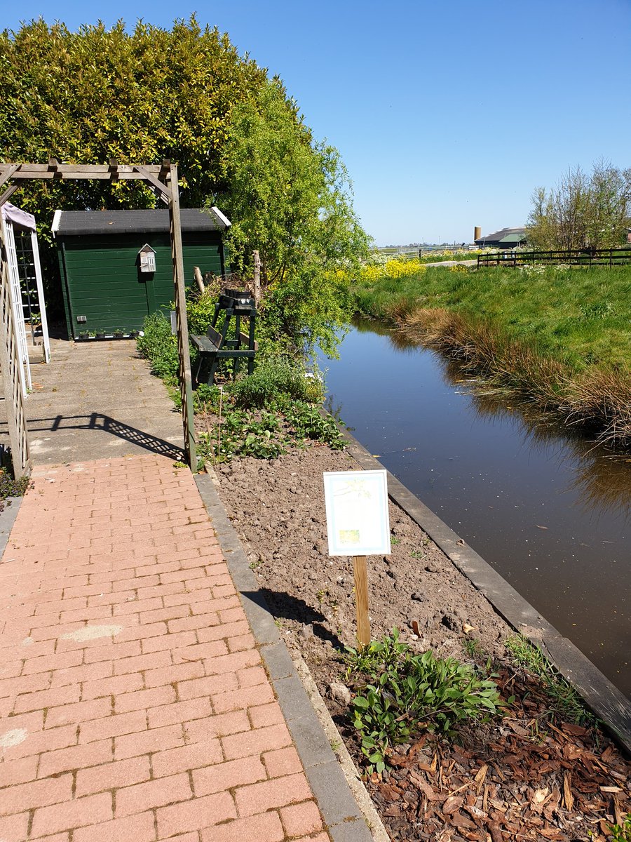 patrick42koning's tweet image. In het stukje #moestuin bij de #beleeftuin de #EersteOogst dit jaar. #Boontjes! Gezond, ongespoten en vers uit eigen grond. Heerlijk! @_maisonpatrick #respijtzorg #respijthuis #logeren #mantelzorg #overbelast