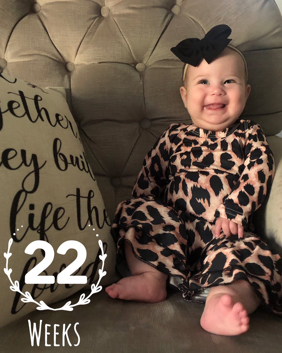 BethanyITC's tweet photo. Faces of Piper at 22 weeks
#facesfordays #wildone #meowmeow https://t.co/f1HiYkxE66