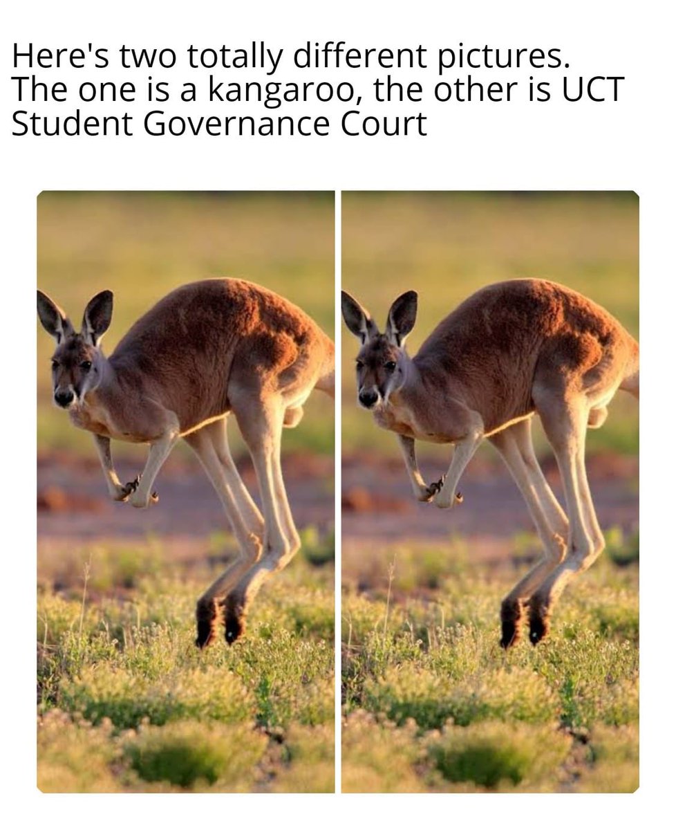 STATEMENT: DASO-UCT's RESPONSE TO SGC's JUDGEMENT

Release: Immediate
Date: 20 July 2020