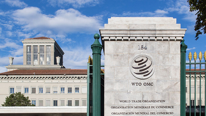 HealthPolicyW's tweet photo. Can new leadership fix the @WTO's existential crisis? Eight candidates, including @NOIweala, @AHamidOfficial, &amp; @LiamFox present their pitches.

Read now on HPW: https://t.co/PbLcwBdkN0 https://t.co/GcDKGtcCDf