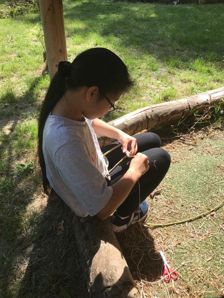 Stukeley2013's tweet photo. Last day in the forest. https://t.co/N9EvZAseyA