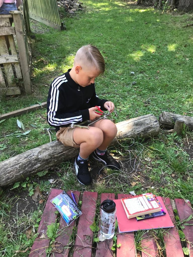 Stukeley2013's tweet photo. Last day in the forest. https://t.co/N9EvZAseyA