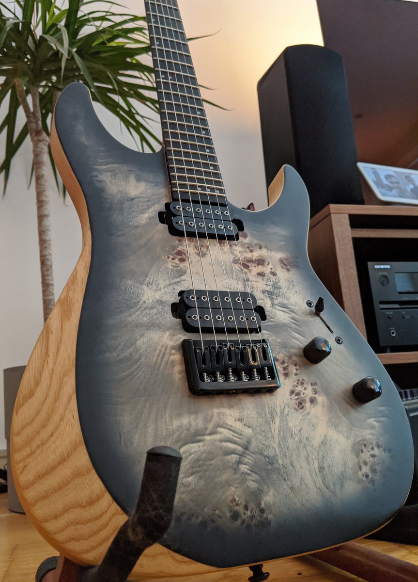 marctunguz's tweet photo. New baby. Look at this bad girl 😍 #schecter #guitar https://t.co/L7f1m12Ior