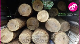 virakesari_lk's tweet image. சட்டவிரோத மரக்கடத்தல் முறியடிப்பு - வாகன சாரதி தப்பியோட்டம்

virakesari.lk/article/86336

#Treesmuggling #Srilanka #Virakesari