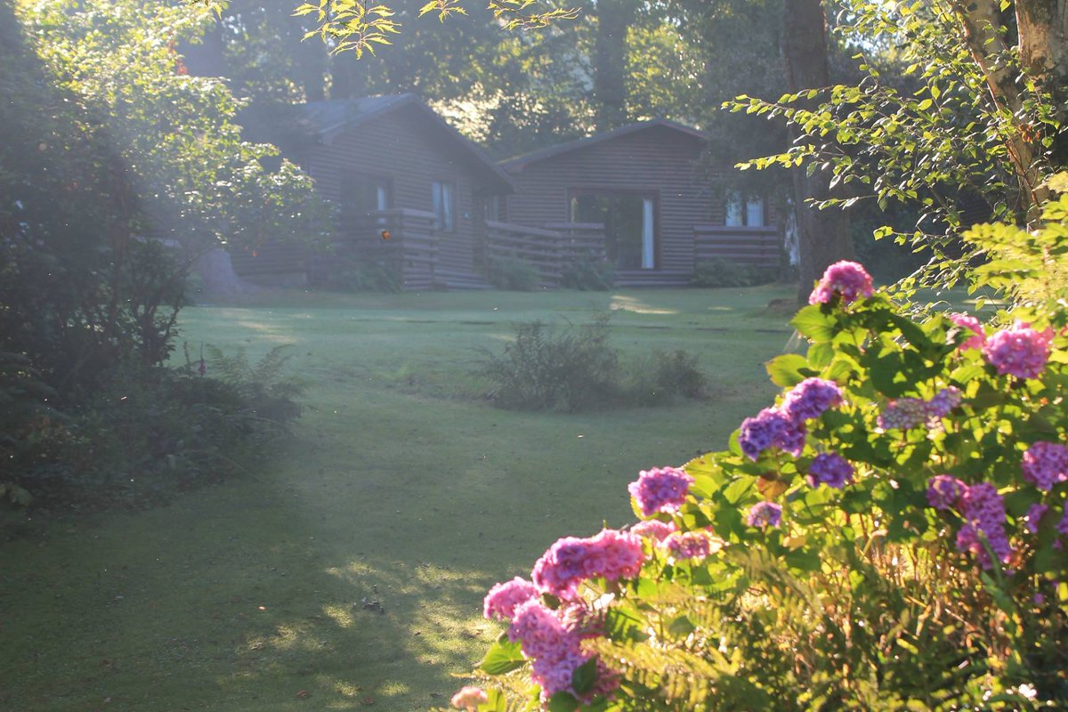 TheHolidayCots's tweet photo. Ruthern Valley Holidays offers a choice of holiday lodges &amp; bungalows just outside Bodmin. Sleeping up to 6 people, they are well-equipped, accessible &amp; perfect for exploring Cornwall.
Sleeps 1-6
https://t.co/NF2r7l9ydw
#Ruthernbridge #Bodmin #Wadebridge #Cornwall #Holiday https://t.co/UV2XoAxHAV