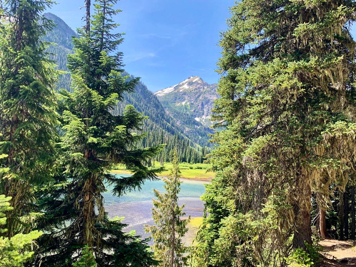 ceciolivos's tweet photo. #hyaslake 💚 https://t.co/li69q51d4q