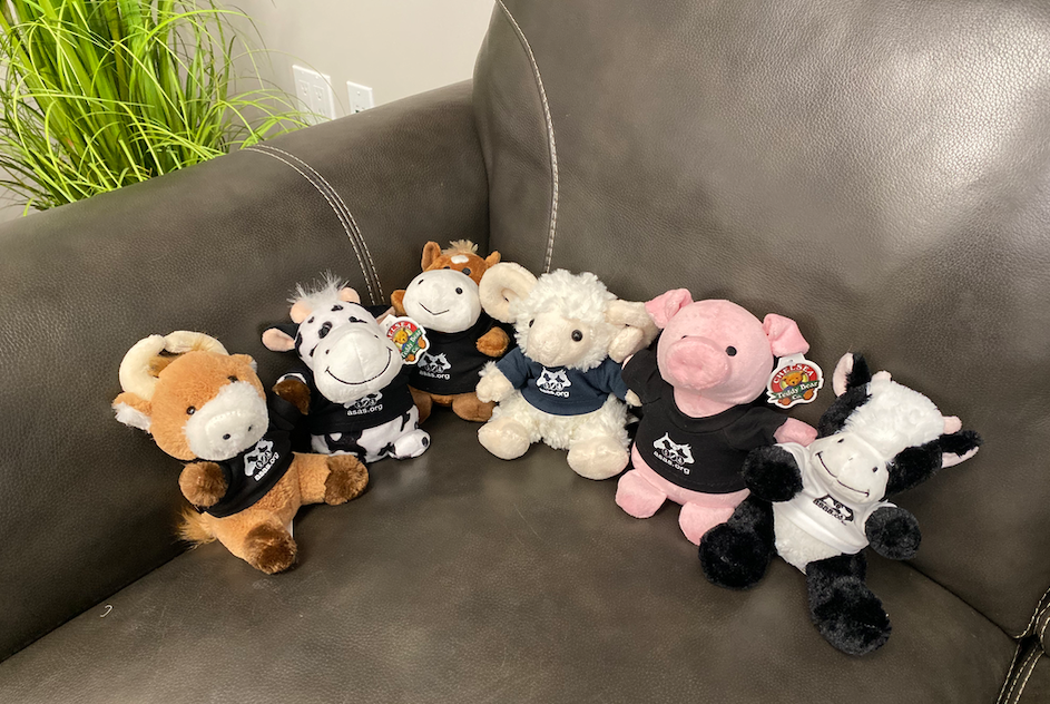 CritterChatter's tweet photo. No new squishy animals in 2020! Meet the ASAS plush collection. Get yours by answering trivia questions at the Virtual Booth and Online. #AnimalScienceAnnual, #ASAS, #CSAS, #Virtualanimalscience2020. https://t.co/woh1mBlDxN