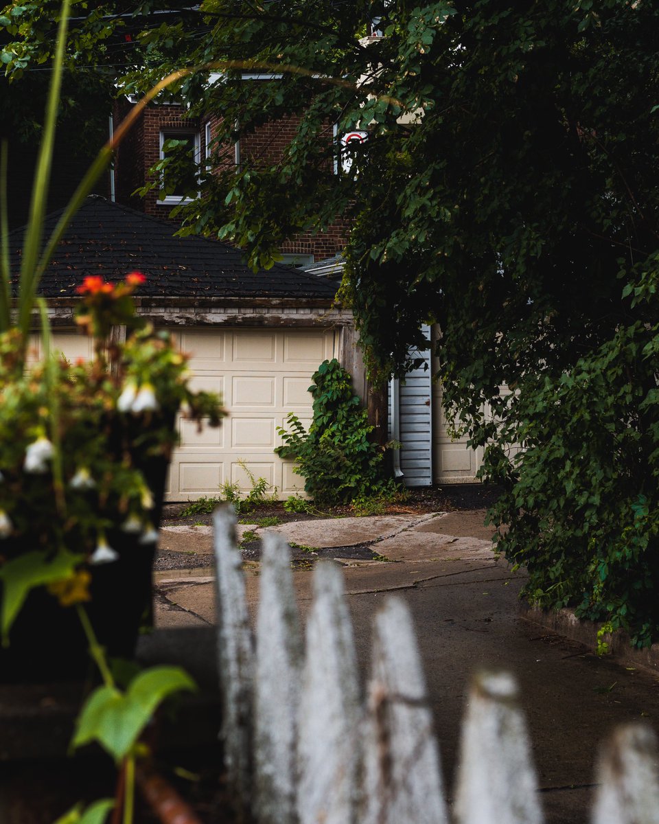 hotshoedrew's tweet photo. I recently realized that I can set the AEL button on my #SonyAlpha #A7RIII to toggle on/ off and I’m so much happier with the tones/ colours.

#Toronto #StreetPhotography #UrbanLandscape #UrbanPhotography #Photography #Overgrowth https://t.co/pGgSGqb2lE