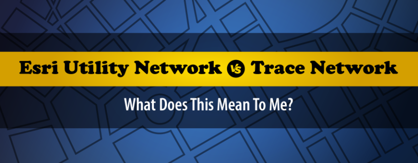 Skye Perry tweet media