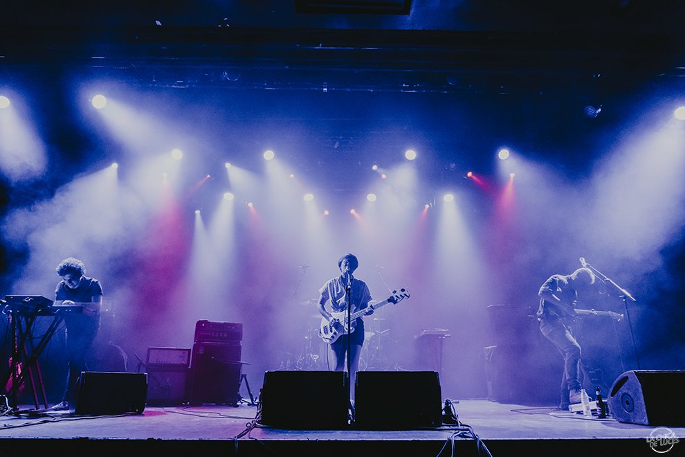 Team Perrolín tweet media