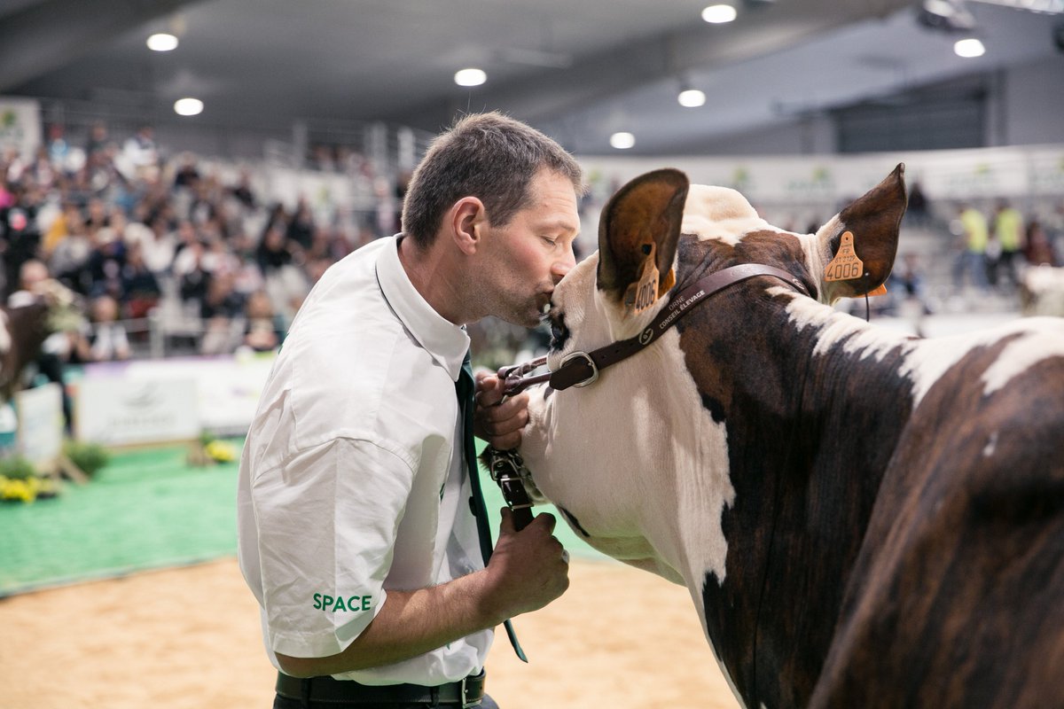 SPACERennes's tweet photo. 📸🐮 Lors du #SPACE2019, Alice Bertrand du @studio2prairies a pris ses quartiers sur le ring ! On ne se lasse pas du résultat alors on vous partage quelques images 😍 https://t.co/P4NVLwf0q5