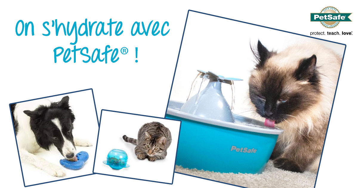 PetSafe® France tweet media