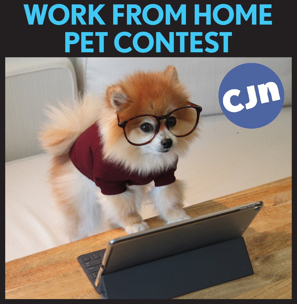 See your pet in the CJN! Submit a photo of your Work From Home Pet, and they may be featured in our All About Pets section on July 31. Visit cjn.org/contest for details and to enter.