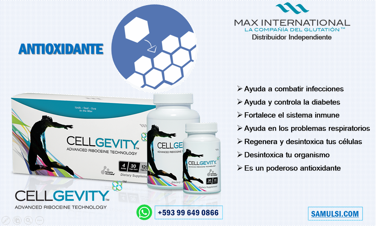 El Glutatión protege contra enfermedades crónicas vinculadas con el estrés oxidativo. El estrés oxidativo ha sido relacionado con enfermedades desde el cáncer hasta la neurodegeneración (R)

WhatsApp +593 99 649 0866

#Glutation #Riboceina #MaxOne #RiboCeine #CellGevity #Ecuador