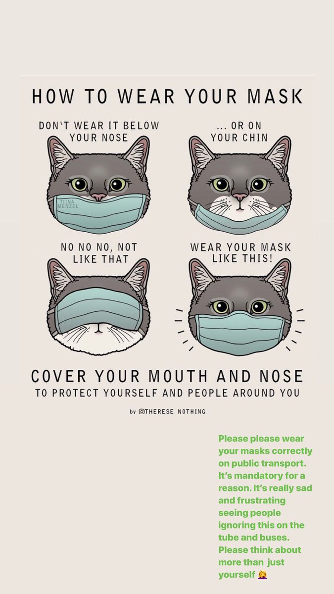 JimJam255's tweet photo. Seems like cute cats always get people’s attention. Wear your mask properly on public transport and anywhere that it mandatory by law. Don’t be a Covidiot. Be smart. Be safe. #maskuplondon #BTSARMY #publictransport @TfL https://t.co/b3qgEFvIf2
