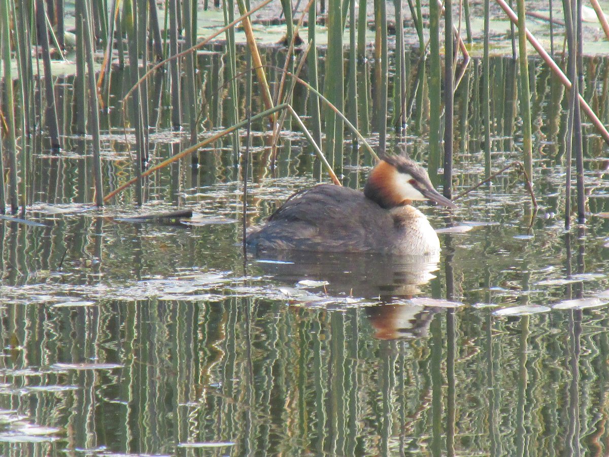 All things nice... tweet media