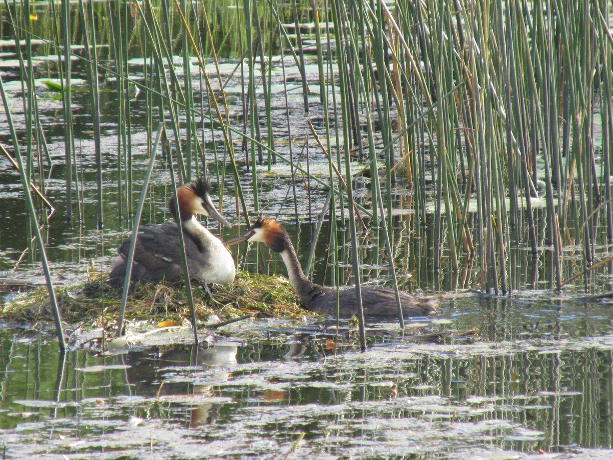 All things nice... tweet media