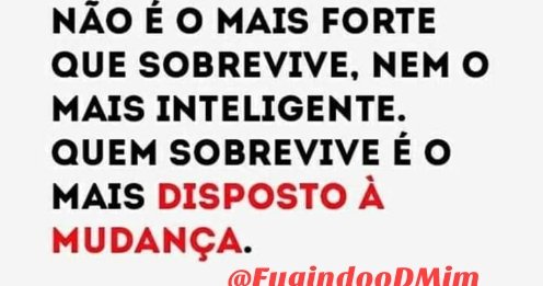 Desculpa não é suficiente!