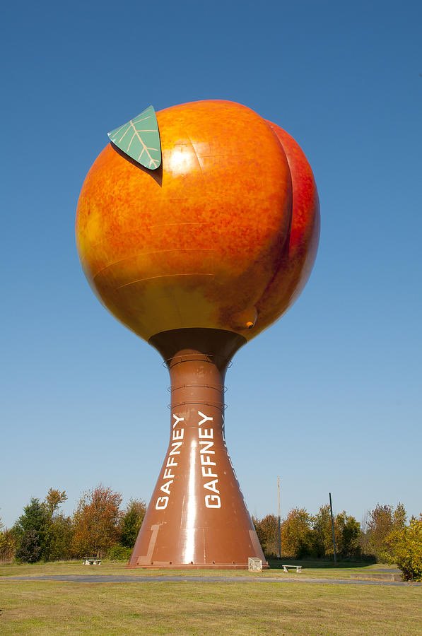 Now that it’s officially the season, don’t forget that SC grows more peaches than Georgia. That’s why we have the trophy.