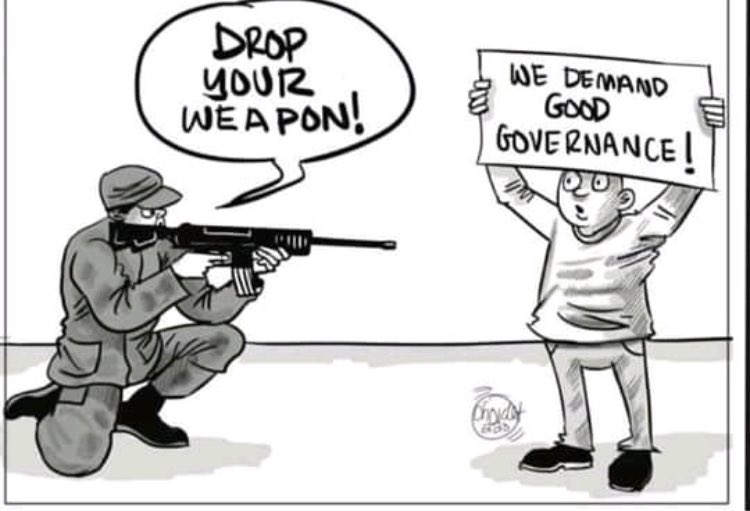 CaptainZ's tweet photo. @euinzim @daddyhope @TimoOlkkonen @SwedeninZW @NLinZimbabwe @EmbEspZimbabwe @ItalyinZimbabwe @ZimMediaReview https://t.co/Ta53Tl6bxA